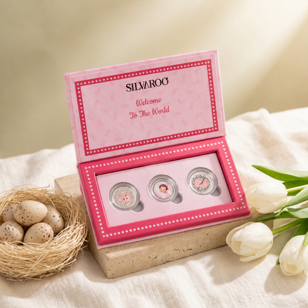 Silver Baby Welcome Kit