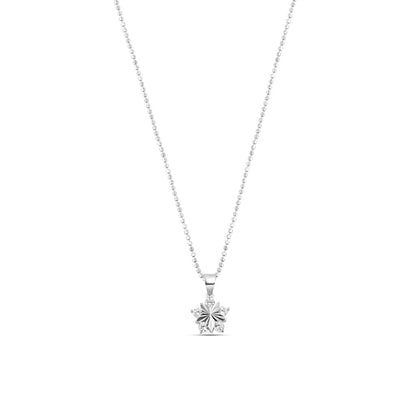 Silver Gleaming Star Set